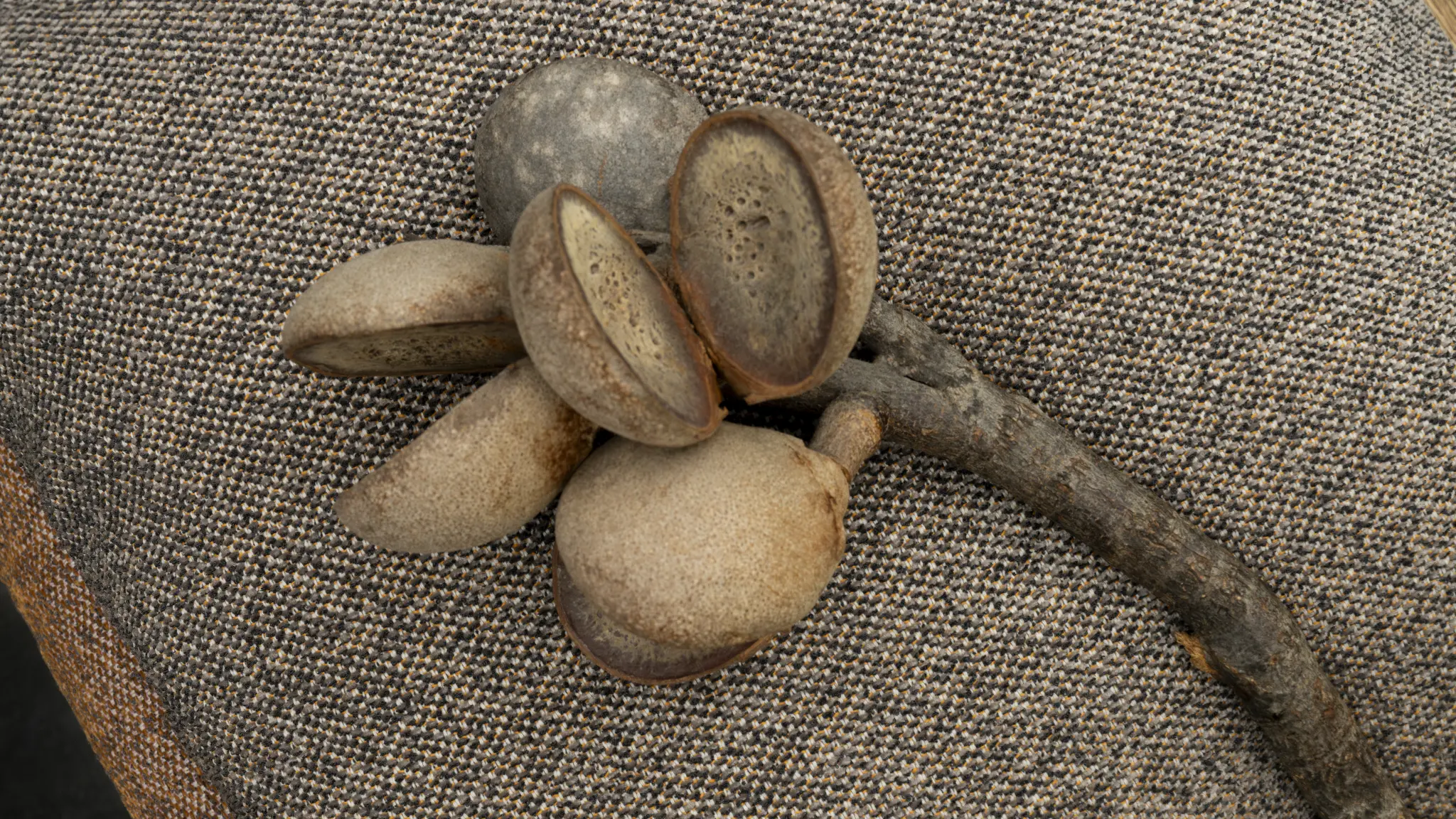 Close-up of Vescom Bosco upholstery with a soft, flecked melange structure.