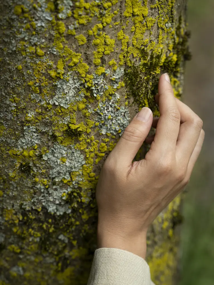 A hand touches woodland moss, a natural inspiration for Vescom Bosco upholstery.