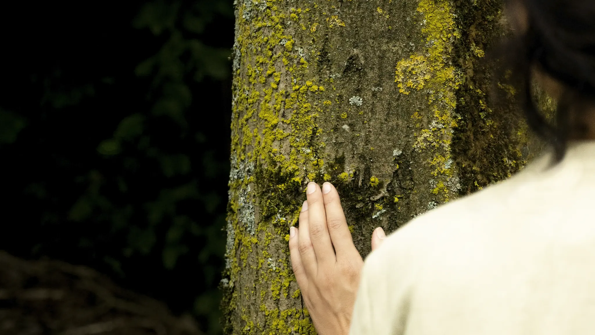 A hand touches woodland moss, a natural inspiration for Vescom Bosco upholstery.