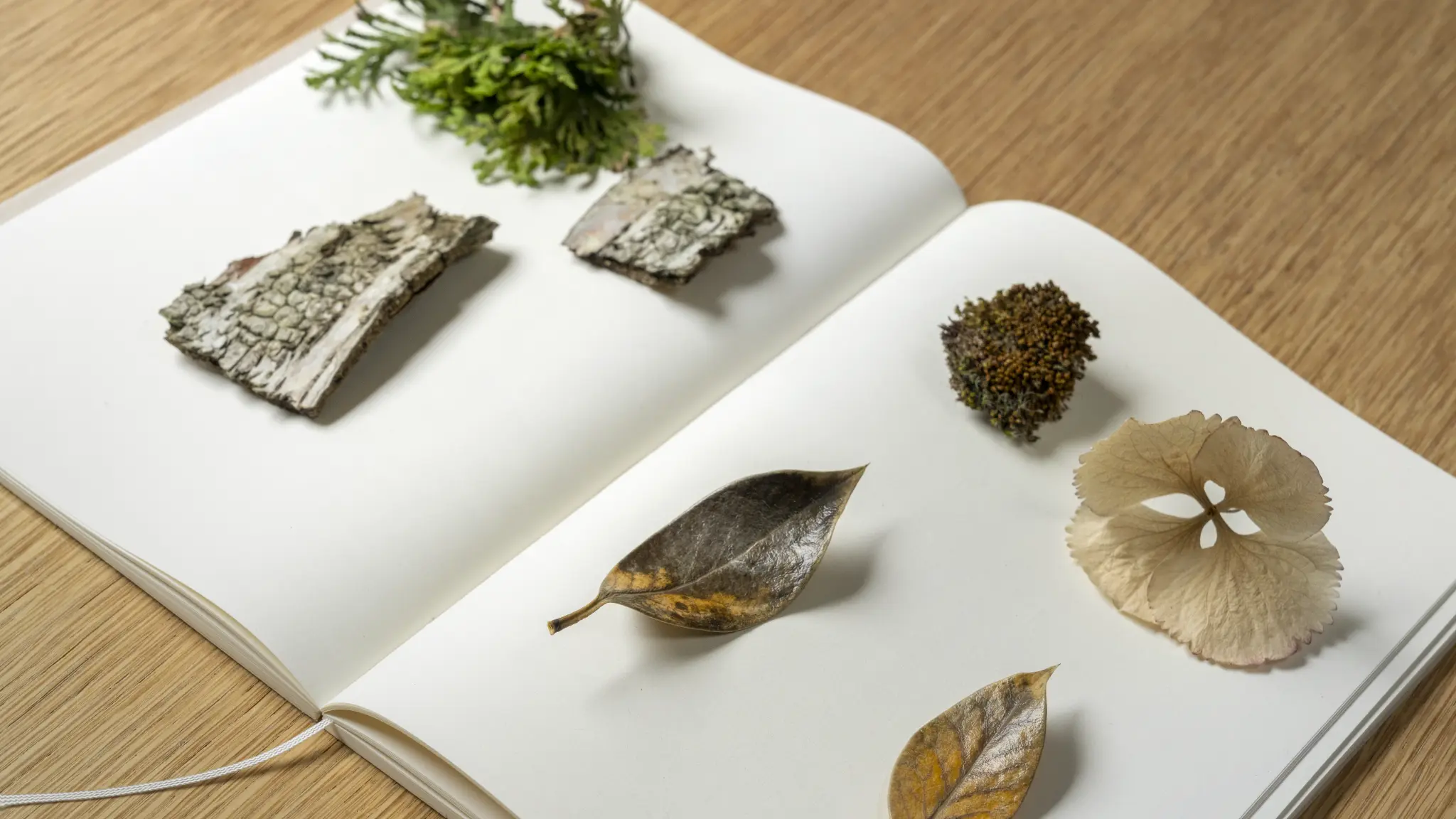 A woodland-inspired mood board exploring the tones of Vescom Bosco upholstery.