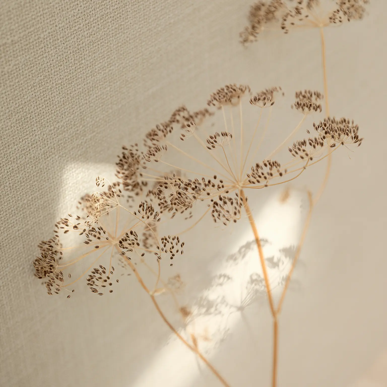 Ethnic Lino | Vescom