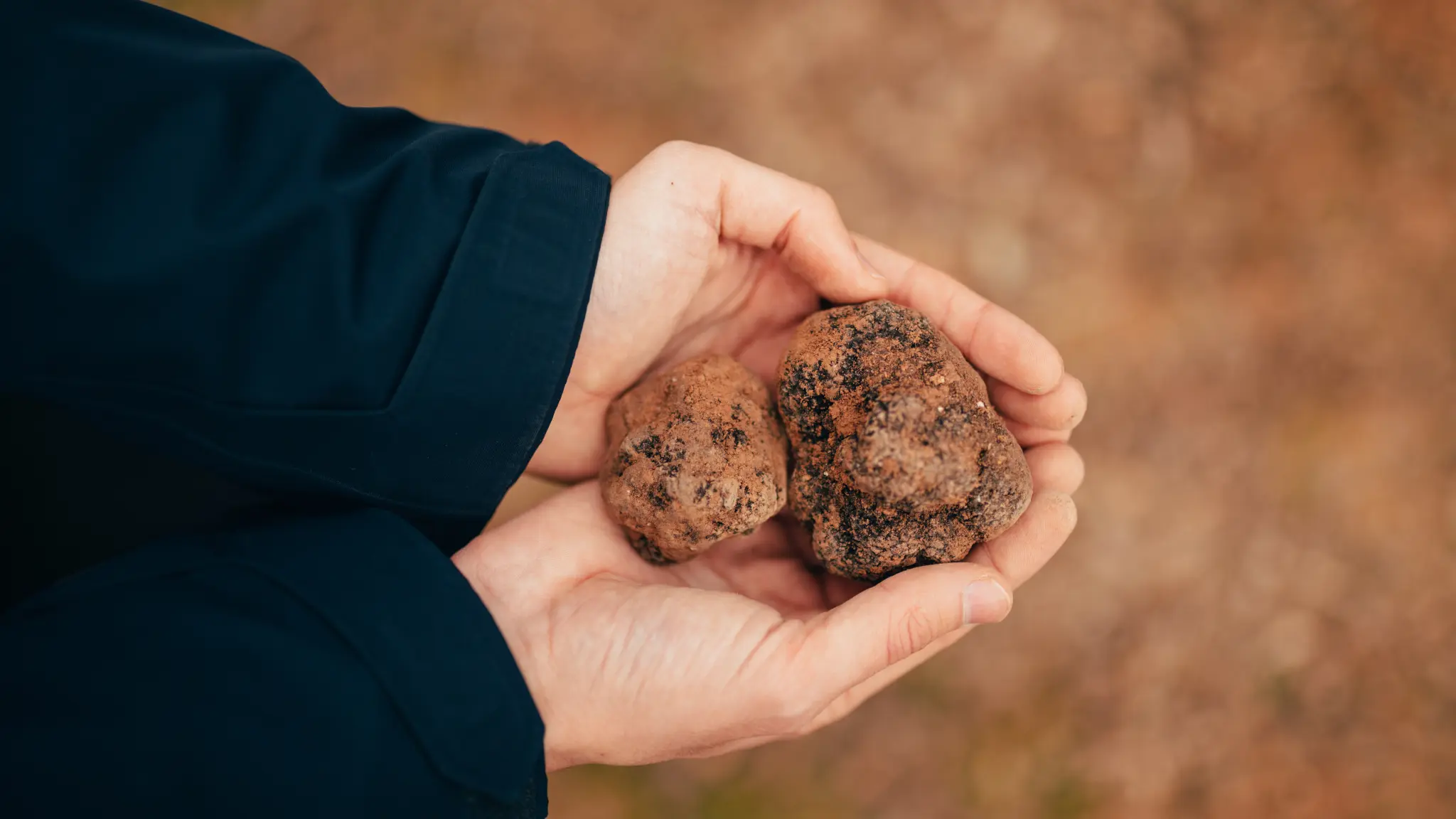 Two hands holding copper-colored stones to showcase the inspiration for Vescom Moon recycled vinyl wallcovering.