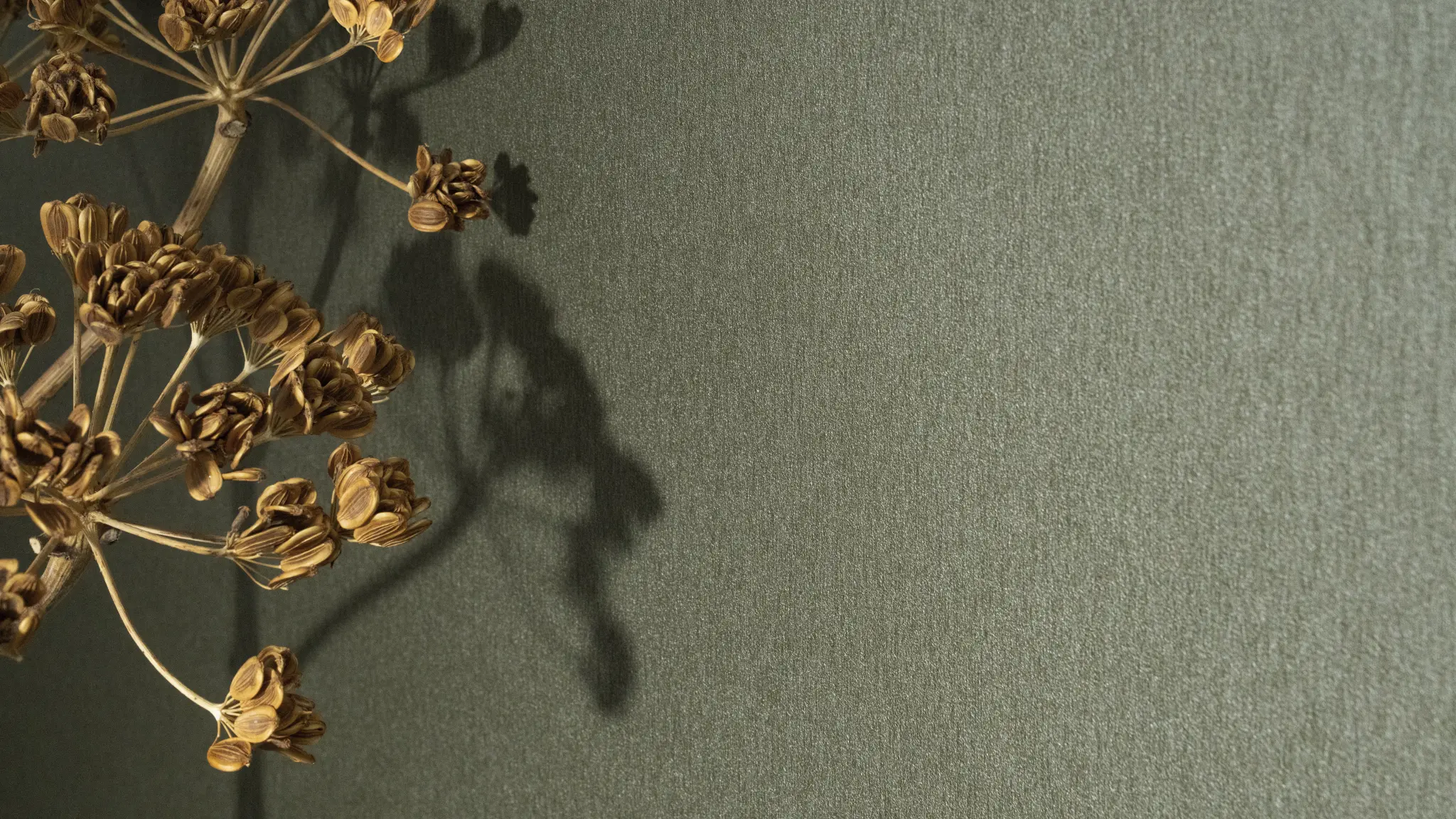 Vescom Stellar wallcovering detail showing the soft luminosity of its brushed metal look.